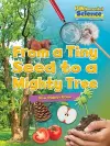 From a Tiny Seed to a Mighty Tree cover