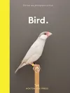 Bird. cover