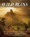 Wild Ruins cover