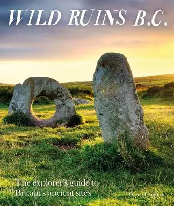 Wild Ruins BC cover