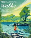 Wild Swimming Walks Lake District cover