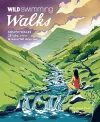 Wild Swimming Walks South Wales cover