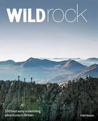 Wild Rock cover