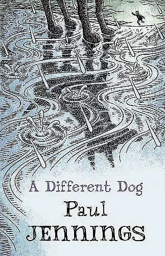 A Different Dog cover