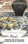 A Different Boy cover