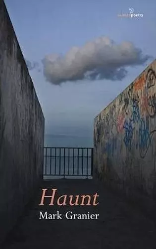 Haunt cover