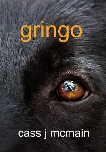 Gringo cover