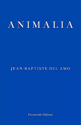 Animalia cover