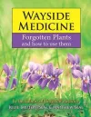 Wayside Medicine cover
