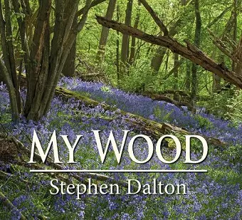 My Wood cover