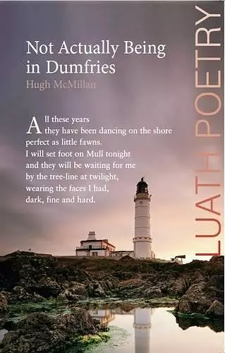 Not Actually Being in Dumfries cover