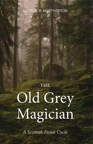 The Old Grey Magician cover