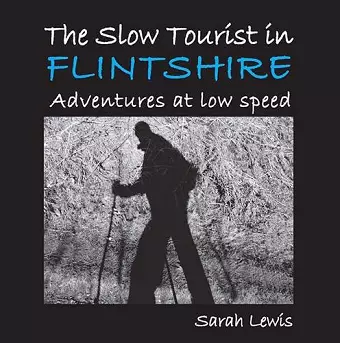 The Slow Tourist in Flintshir cover