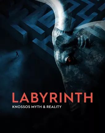 Labyrinth cover