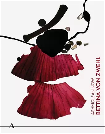 Ashmolean NOW: Bettina von Zwehl cover