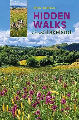 Hidden Walks: South Lakeland cover