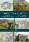 Forgotten Castles of Wales and the Marches cover