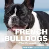 French Bulldogs cover