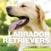 Labrador Retrievers cover