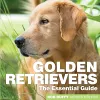 Golden Retrievers cover