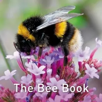 The Nature Book Series: The Bee Book cover