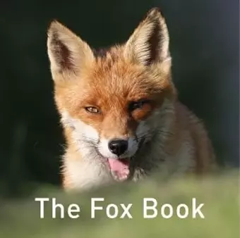 The Nature Book Series: The Fox Book cover