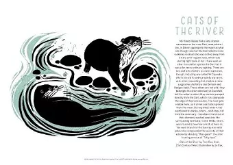 Tom Cox's 21st Century Yokel Poster – Cats of The River cover