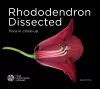 Rhododendron Dissected cover