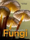 The Fascinating World of Fungi cover