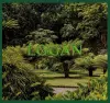 Logan Botanic Garden cover