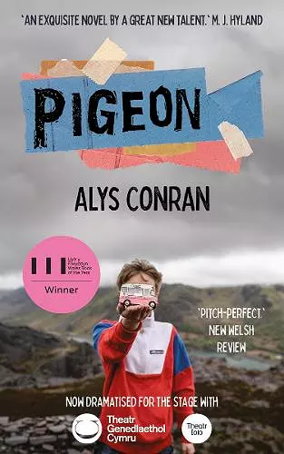 Pigeon cover