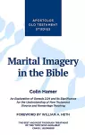 Marital Imagery in the Bible cover