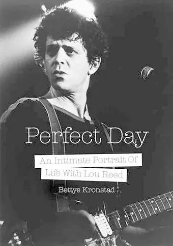 Perfect Day cover