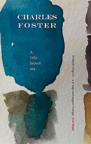 A little brown sea cover