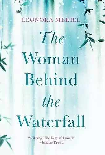 The Woman Behind the Waterfall cover