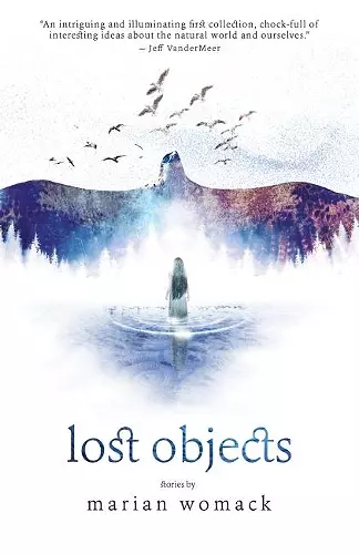 Lost Objects cover