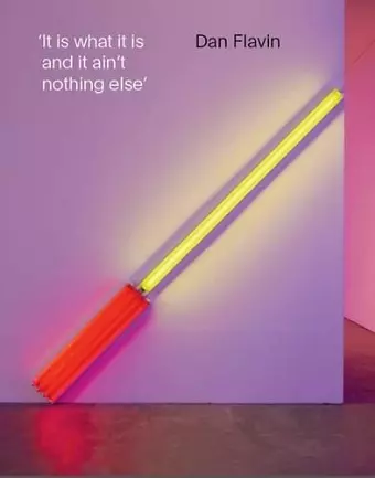 Dan Flavin cover