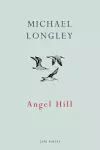 Angel Hill cover