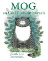 Mog an Cat Dìochuimhneach cover