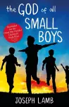The God of All Small Boys cover