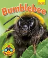 Wildlife Watchers: Bumblebee cover