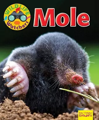 Wildlife Watchers: Mole cover