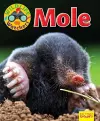 Wildlife Watchers: Mole cover