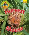 Wildlife Watchers: Harvest Mouse cover