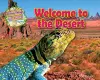 Welcome to the Desert cover