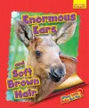 Whose Little Baby Are You? Enormous Ears and Soft Brown Hair cover