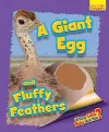 Whose Little Baby Are You? A Giant Egg and Fluffy Feathers cover