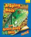 Whose Little Baby Are You? A Spiny Back and Green Scaly Skin cover
