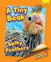 Whose Little Baby Are You? A Tiny Beak and Spiky Feathers cover