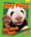 Whose Little Baby Are You? Tiny Paws and Big Black Eyes cover